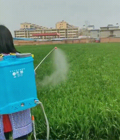 20250226_093458_029.gif